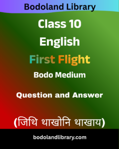 SEBA Class 10 English First Flight Bodo Medium Question Answer​
