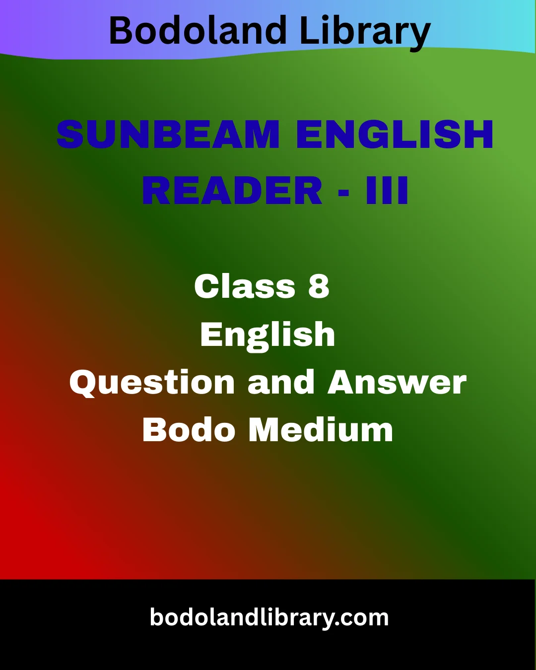 SEBA Class 8 English Bodo Medium Question Answer